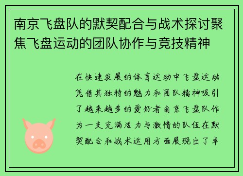 南京飞盘队的默契配合与战术探讨聚焦飞盘运动的团队协作与竞技精神